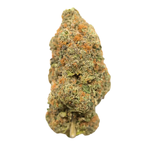 M.A.C. flower