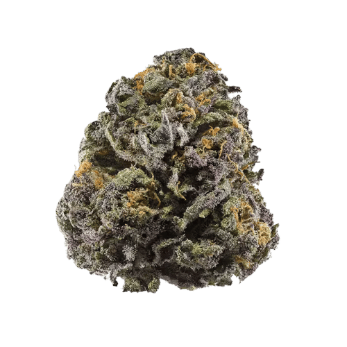 Lemon Star flower