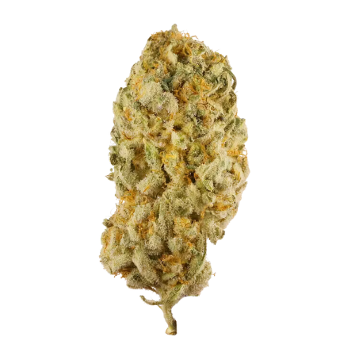 Blue Dream flower